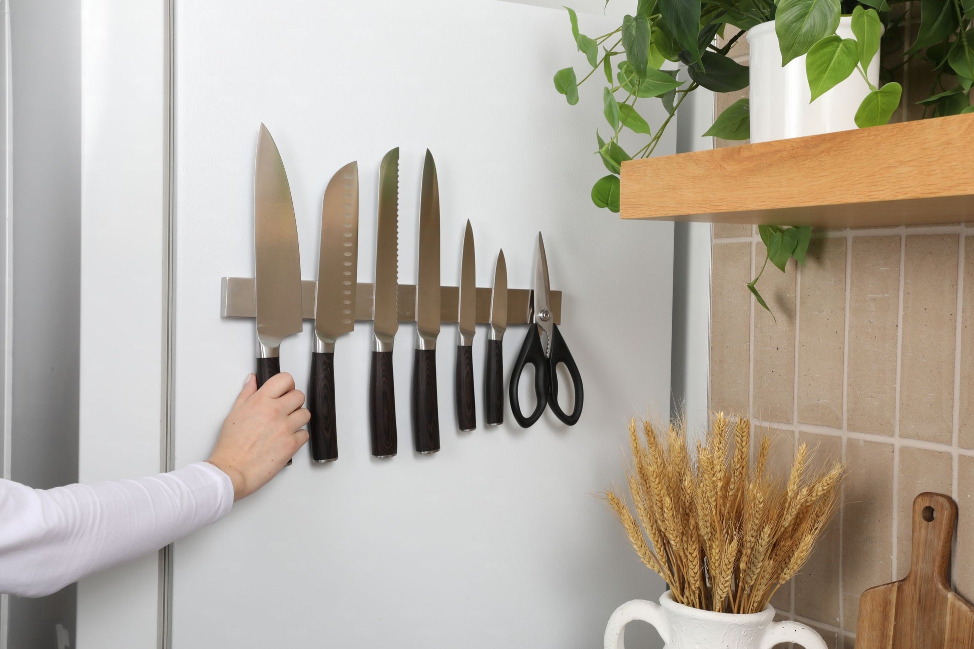 Knives and scissors on a a  pampvanna's  magnetic strip attached to a white wall with a plant and shelf in the background.